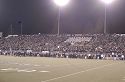 Blackout crowd